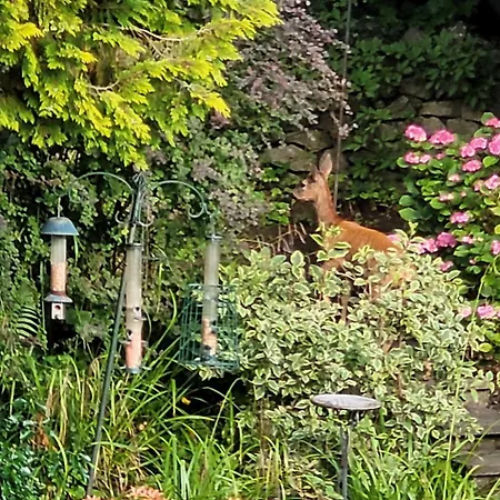 Elton 4* Grange-over-Sands