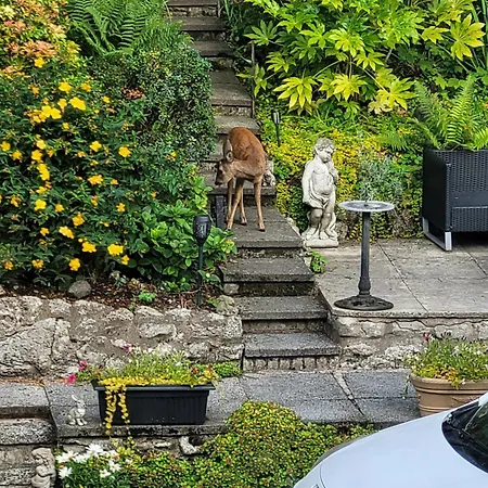 Bed & Breakfast Elton